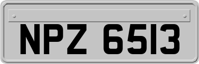 NPZ6513