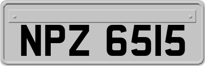 NPZ6515