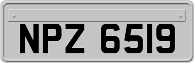 NPZ6519