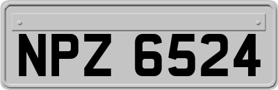 NPZ6524