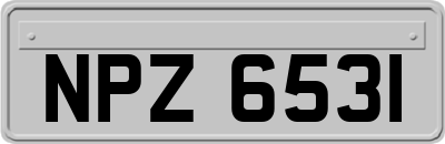 NPZ6531