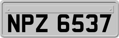 NPZ6537