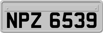NPZ6539