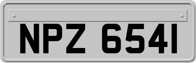 NPZ6541
