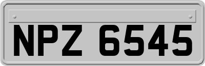 NPZ6545
