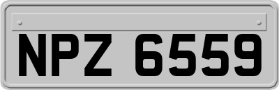 NPZ6559