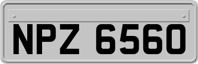 NPZ6560