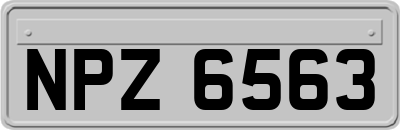 NPZ6563