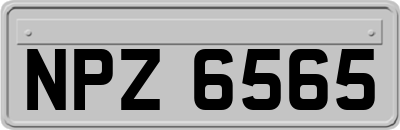 NPZ6565