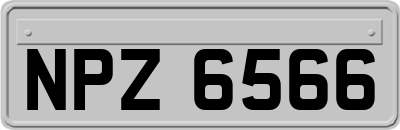 NPZ6566