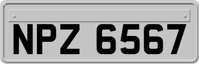 NPZ6567