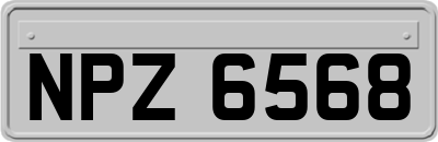 NPZ6568