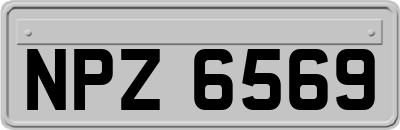 NPZ6569