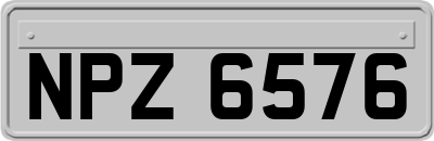 NPZ6576