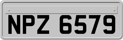 NPZ6579
