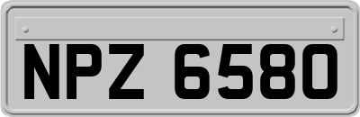 NPZ6580