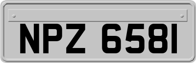 NPZ6581