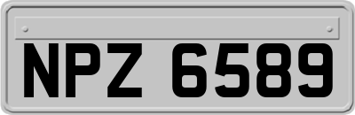 NPZ6589