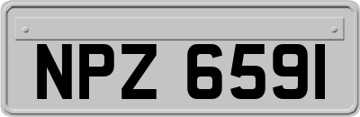 NPZ6591