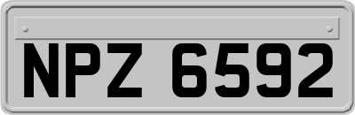 NPZ6592