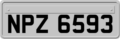 NPZ6593
