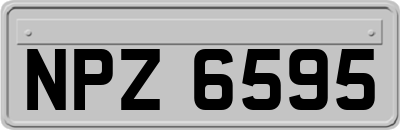 NPZ6595
