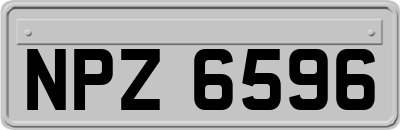 NPZ6596