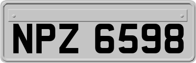NPZ6598