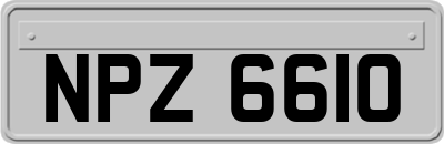 NPZ6610