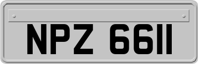 NPZ6611