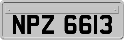 NPZ6613