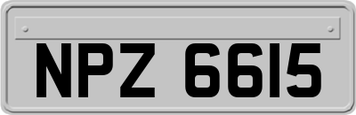 NPZ6615