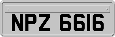 NPZ6616