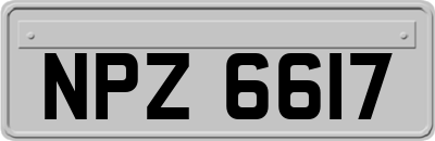 NPZ6617