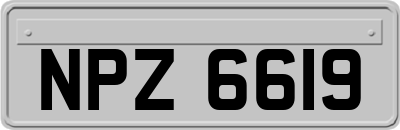 NPZ6619