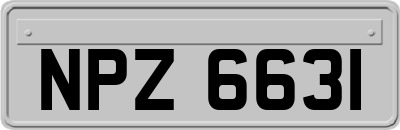 NPZ6631