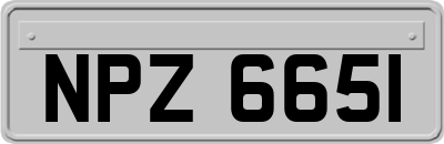 NPZ6651