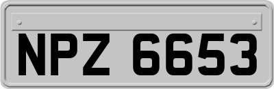 NPZ6653