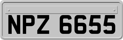 NPZ6655
