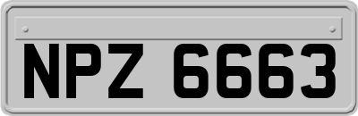 NPZ6663
