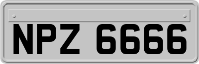 NPZ6666