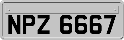 NPZ6667