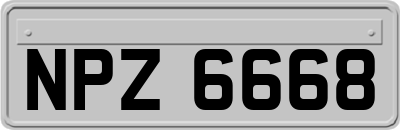 NPZ6668