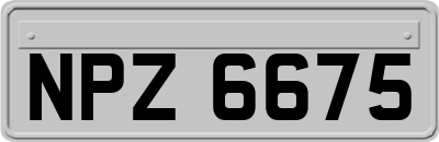 NPZ6675