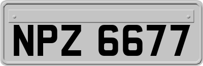 NPZ6677