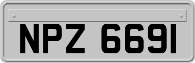 NPZ6691