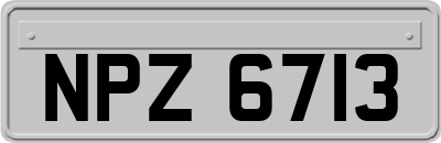 NPZ6713