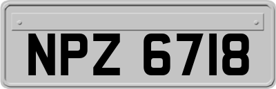 NPZ6718