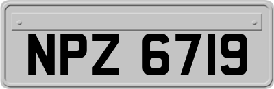 NPZ6719