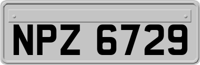 NPZ6729